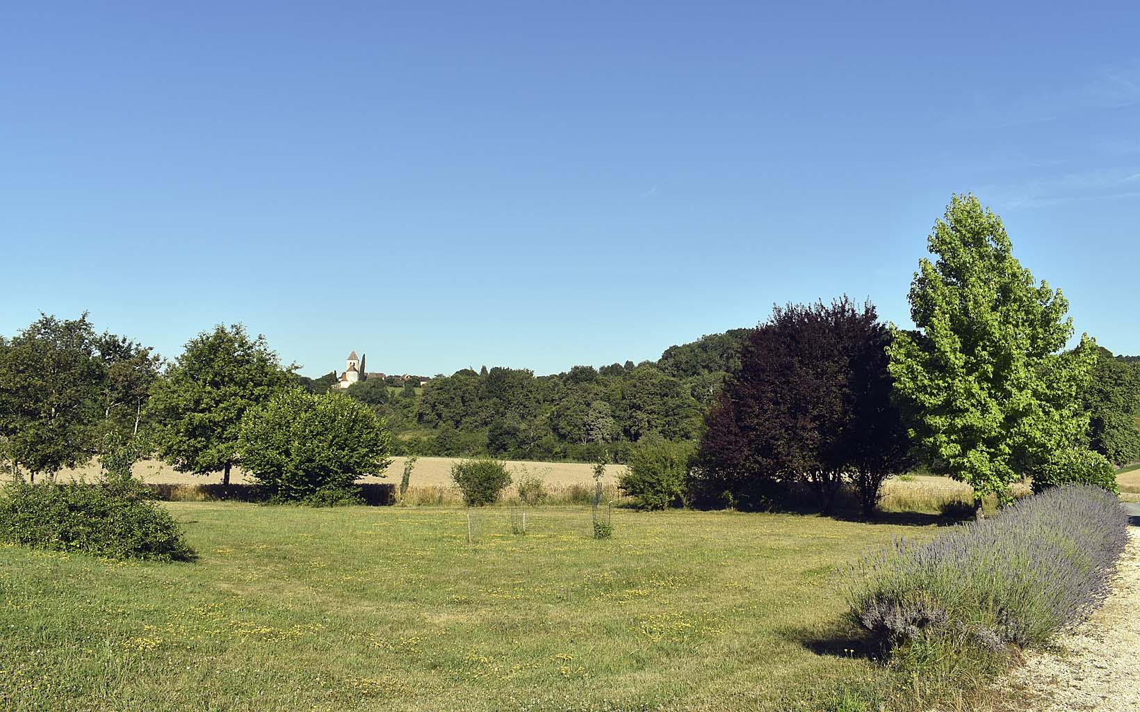 Ausblick auf die Kirche